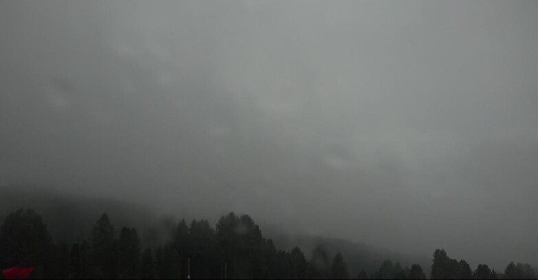 Webcam Bellamonte-Alpe Lusia  - Lagorai