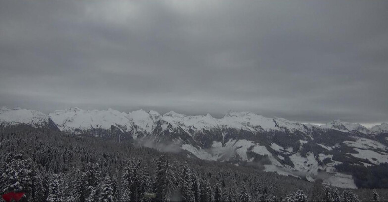 Webcam Bellamonte-Alpe Lusia  - Lagorai
