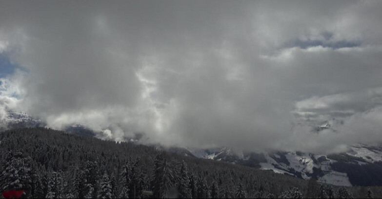 Webcam Bellamonte-Alpe Lusia  - Lagorai