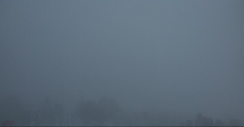 Webcam Bellamonte-Alpe Lusia  - Lagorai