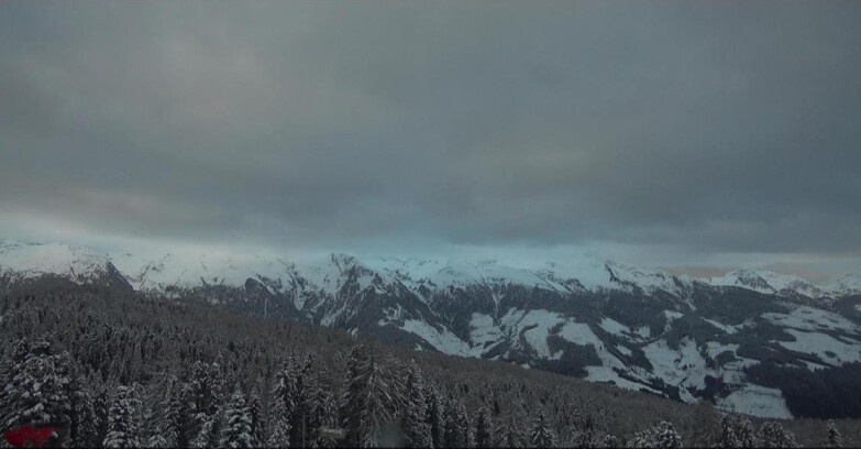 Webcam Bellamonte-Alpe Lusia  - Lagorai