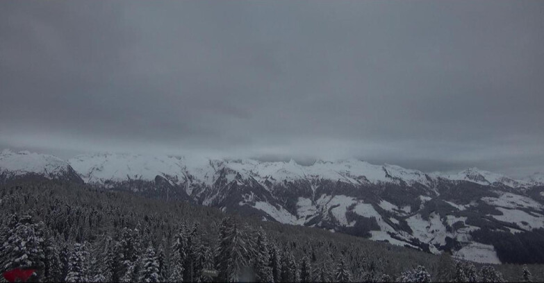 Webcam Bellamonte-Alpe Lusia  - Lagorai