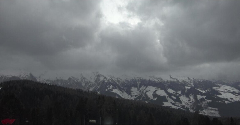 Webcam Bellamonte-Alpe Lusia  - Lagorai