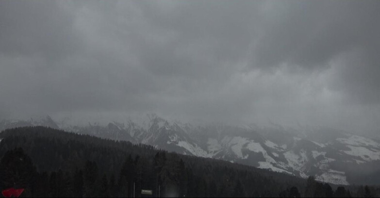 Webcam Bellamonte-Alpe Lusia  - Lagorai
