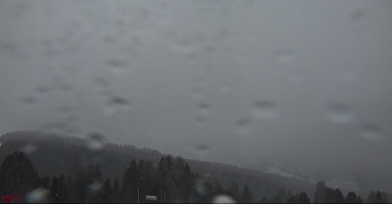 Webcam Bellamonte-Alpe Lusia  - Lagorai