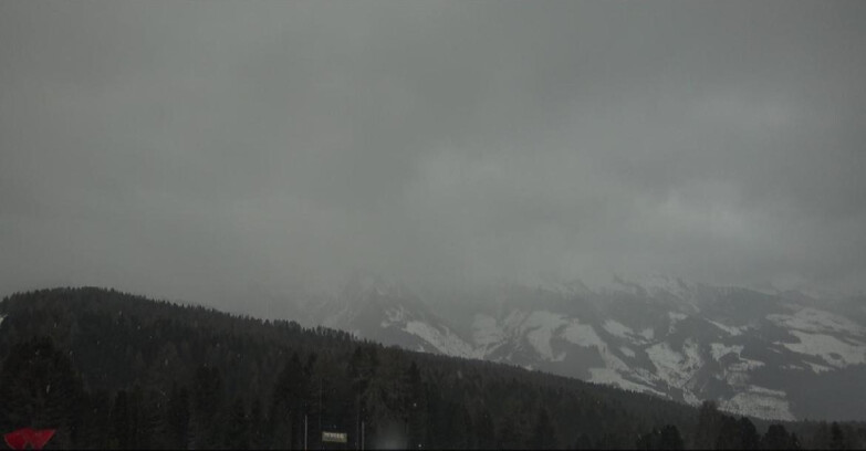 Webcam Bellamonte-Alpe Lusia  - Lagorai