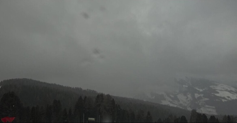 Webcam Bellamonte-Alpe Lusia  - Lagorai