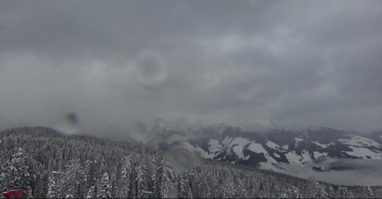 Webcam Bellamonte-Alpe Lusia - Catena del Lagorai