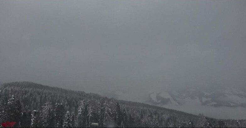 Webcam Bellamonte-Alpe Lusia - Catena del Lagorai