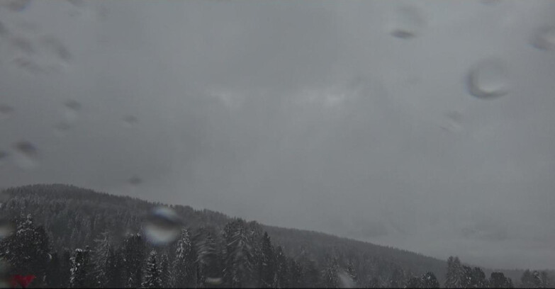 Webcam Bellamonte-Alpe Lusia - Catena del Lagorai