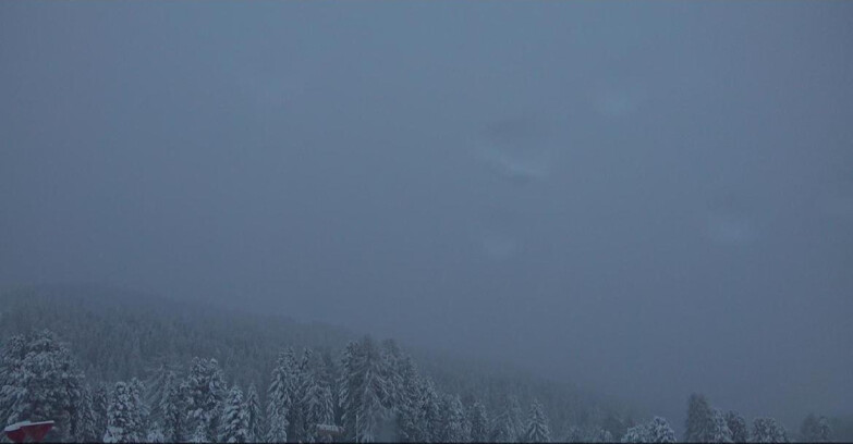 Webcam Bellamonte-Alpe Lusia - Catena del Lagorai