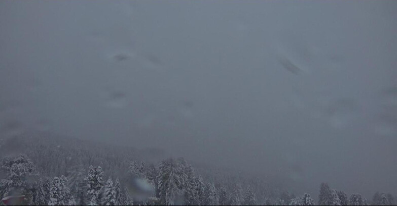 Webcam Bellamonte-Alpe Lusia - Catena del Lagorai