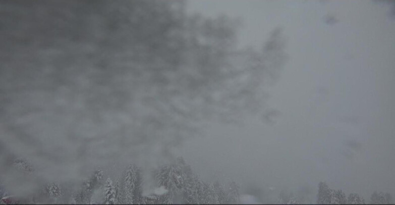 Webcam Bellamonte-Alpe Lusia - Catena del Lagorai