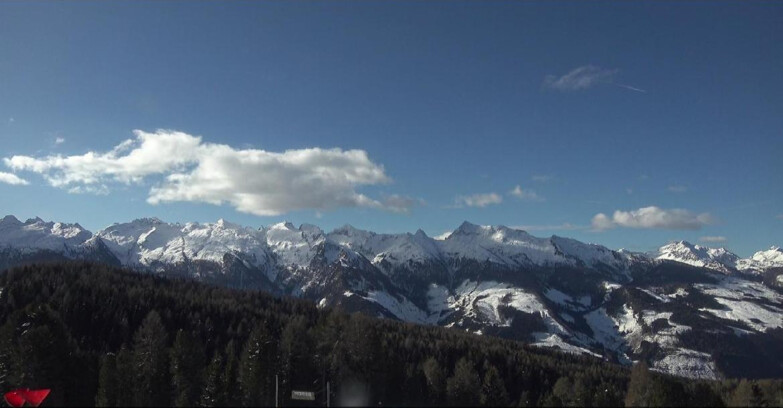 Webcam Bellamonte-Alpe Lusia - Lagorai