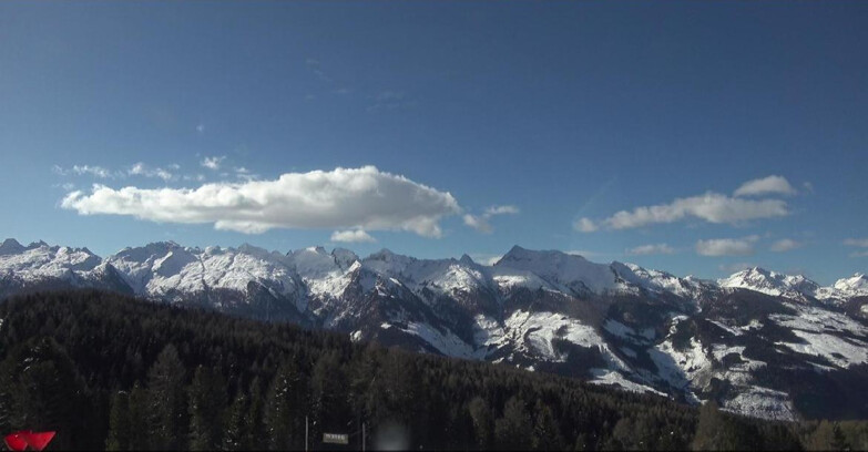 Webcam Bellamonte-Alpe Lusia - Lagorai