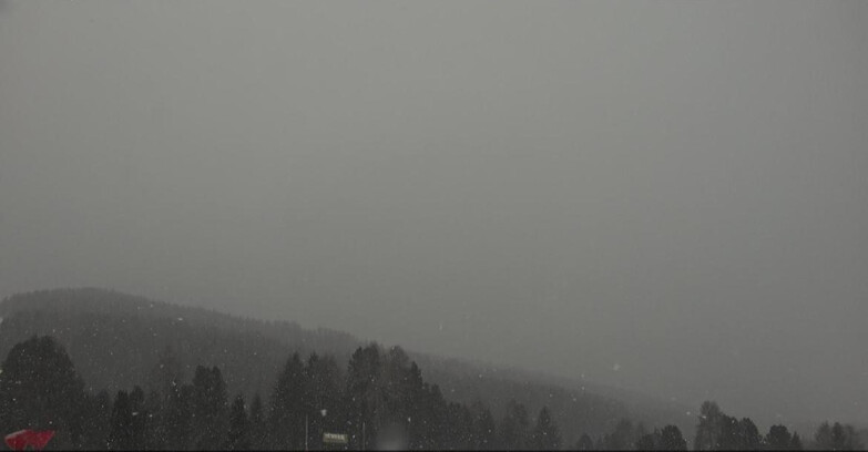 Webcam Bellamonte-Alpe Lusia  - Lagorai