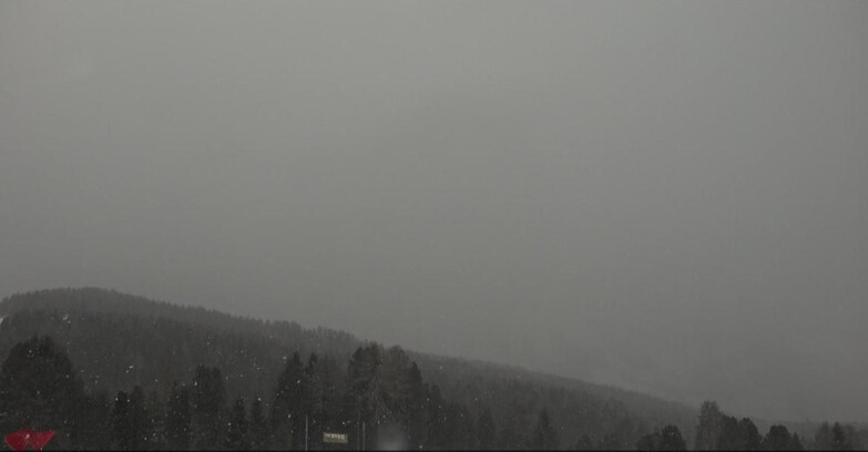 Webcam Bellamonte-Alpe Lusia  - Lagorai