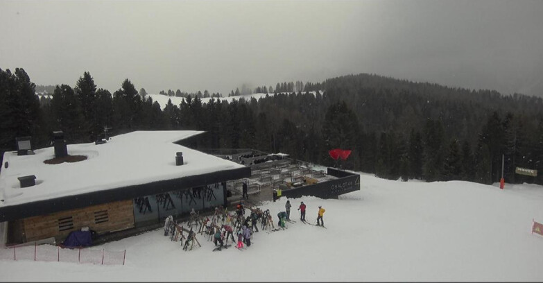 Webcam Bellamonte-Alpe Lusia  - Lagorai