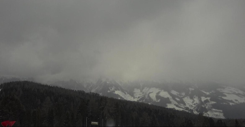 Webcam Bellamonte-Alpe Lusia  - Lagorai
