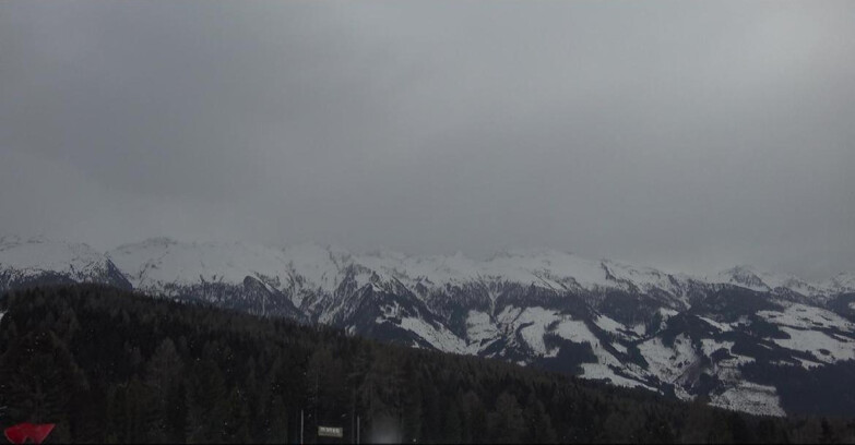 Webcam Bellamonte-Alpe Lusia  - Lagorai