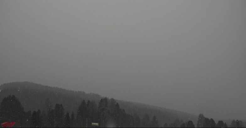 Webcam Bellamonte-Alpe Lusia  - Lagorai