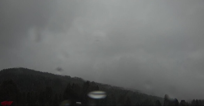 Webcam Bellamonte-Alpe Lusia - Catena del Lagorai