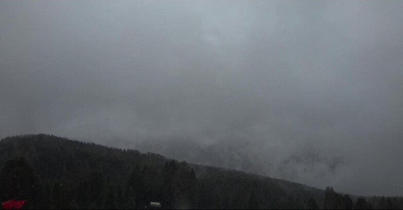 Webcam Bellamonte-Alpe Lusia - Catena del Lagorai