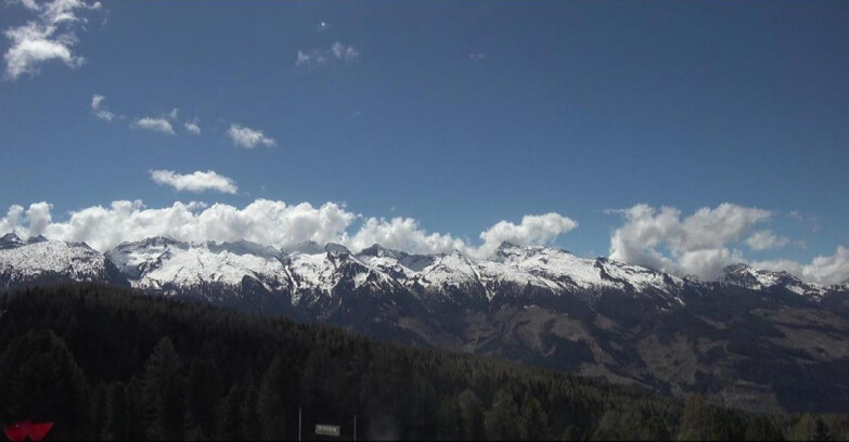 Webcam Bellamonte-Alpe Lusia  - Lagorai