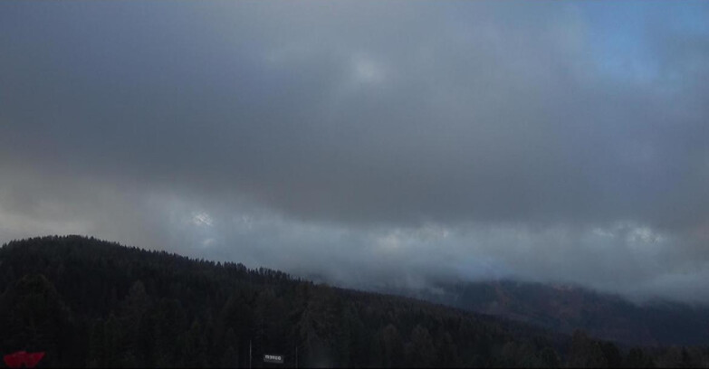 Webcam Bellamonte-Alpe Lusia  - Lagorai