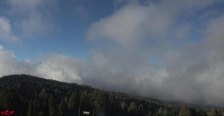 Webcam Bellamonte-Alpe Lusia  - Lagorai