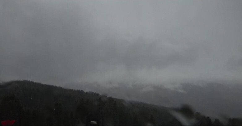 Webcam Bellamonte-Alpe Lusia  - Lagorai