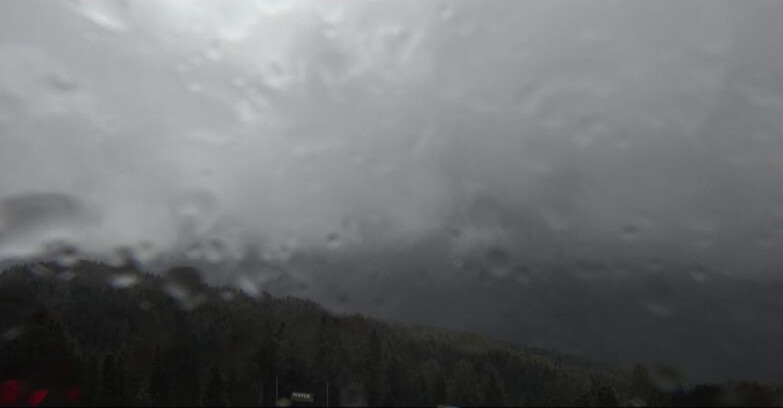 Webcam Bellamonte-Alpe Lusia  - Lagorai