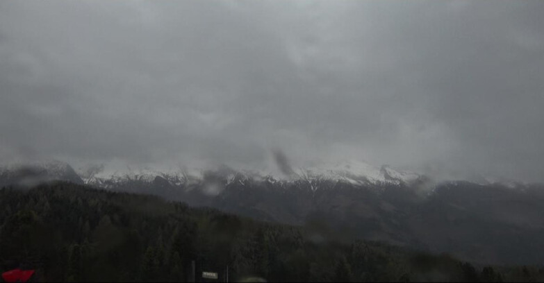 Webcam Bellamonte-Alpe Lusia  - Lagorai