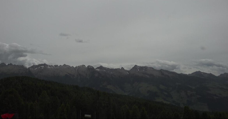 Webcam Bellamonte-Alpe Lusia  - Lagorai