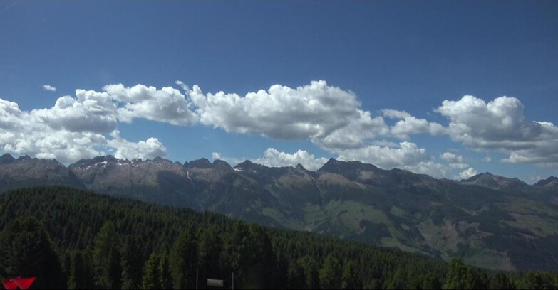 Webcam Bellamonte-Alpe Lusia  - Lagorai