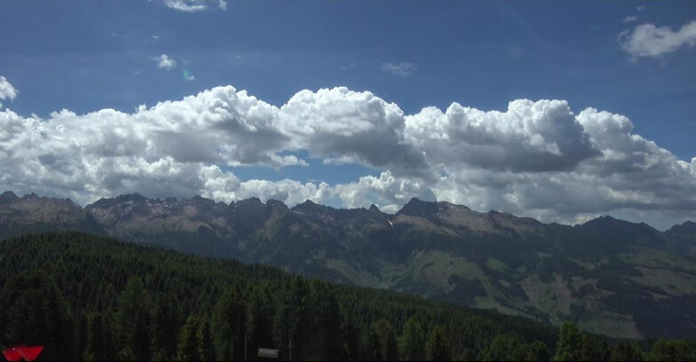Webcam Bellamonte-Alpe Lusia  - Lagorai
