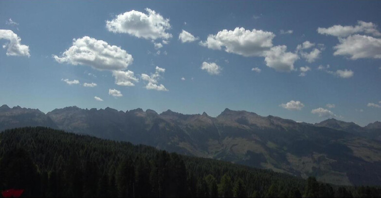 Webcam Bellamonte-Alpe Lusia  - Lagorai
