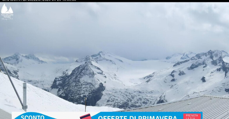 Webcam Presena Glacier  - Presena glacier - Tonale