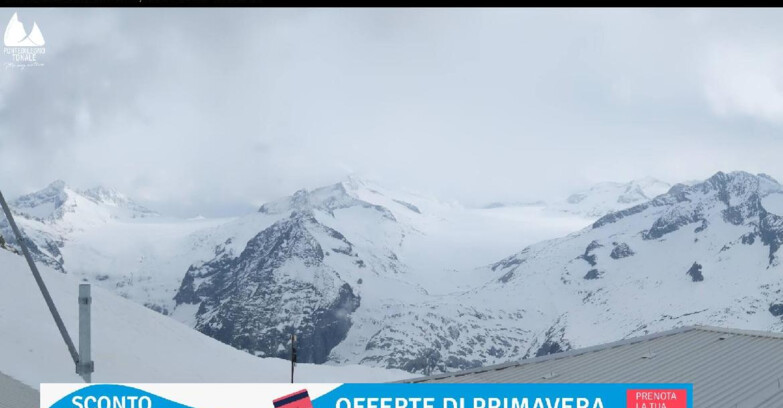 Webcam Presena Glacier  - Presena glacier - Tonale