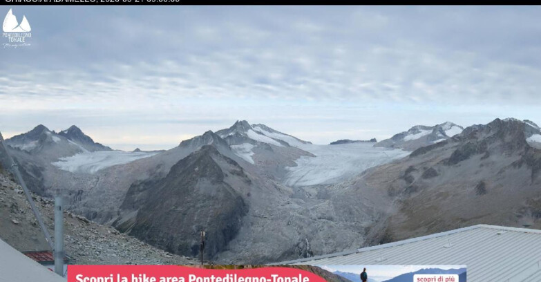 Webcam Pontedilegno-Tonale - Ski Area Passo del Tonale  - Presena