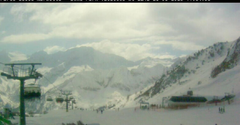 Webcam Ghiacciaio Presena - Valbiolo