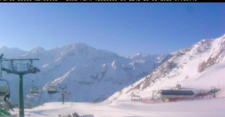 Webcam Ghiacciaio Presena - Valbiolo