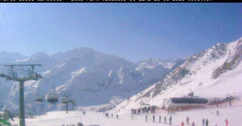 Webcam Ghiacciaio Presena - Valbiolo