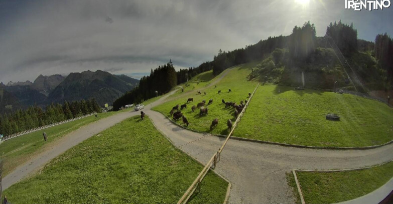 Webcam Pinzolo - Pinzolo - Dolomiti di Brenta 