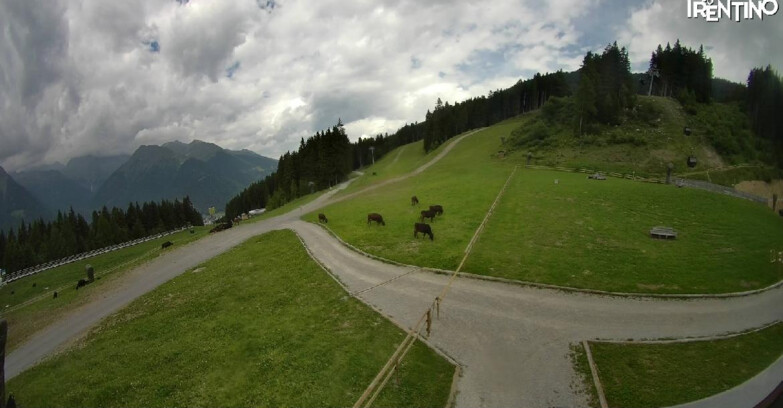 Webcam Pinzolo - Pinzolo - Dolomiti di Brenta 