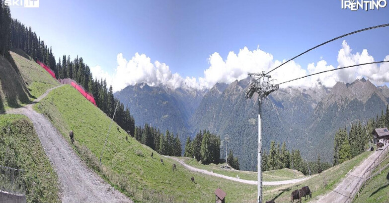 Webcam Pinzolo - Pinzolo - Carè Alto 