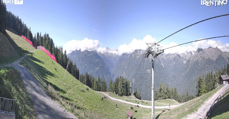 Webcam Pinzolo - Pinzolo - Carè Alto 