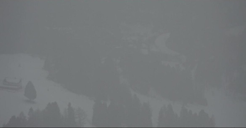 Webcam Pampeago  - Predazzo -  Obereggen - Pampeago Piste