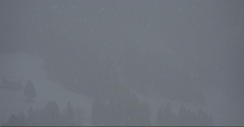 Webcam Pampeago  - Predazzo -  Obereggen - Piste Pampeago 