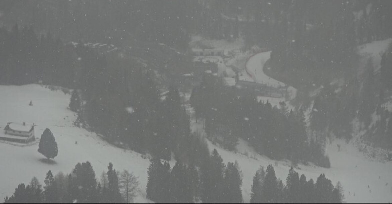 Webcam Pampeago  - Predazzo -  Obereggen - Piste Pampeago 